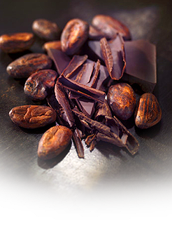 Какао-порошок алкализованный